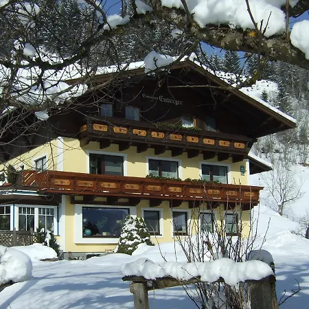 Διαμέρισμα Haus Emberger Wagrain